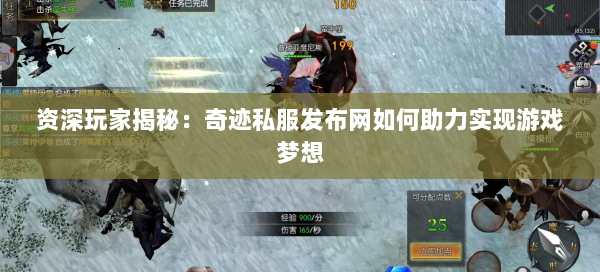 资深玩家揭秘：奇迹私服发布网如何助力实现游戏梦想  第2张