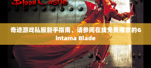 奇迹游戏私服新手指南、请参阅在线免费播放的Gintama Blade